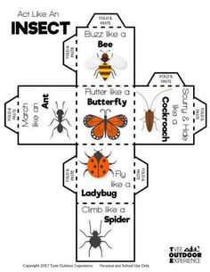 four different types of bugs and ladybugs cut out into an insect paper craft