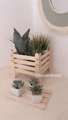 three succulents in small wooden planters on a table