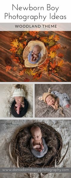 newborn boy photography ideas woodland theme