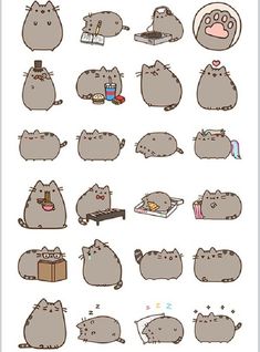 a group of cats with different expressions on them