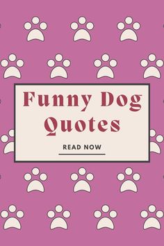 the words funny dog quotes read now on a pink background with white dogs'footprints