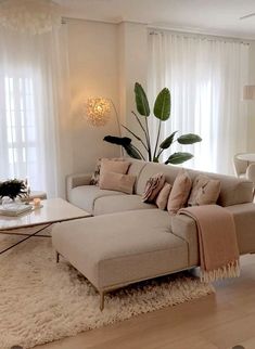 a living room with a couch, coffee table and large plant in the corner on the wall