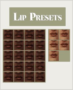 the lip presets are shown in brown and green tones, with different shapes