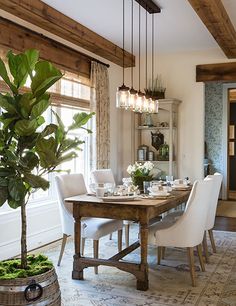 a dining room table with chairs and a potted plant in the middle of it