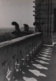 an old black and white photo of some animals on top of a building with the eiffel tower in the background