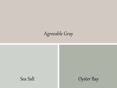 two different shades of gray paint with the words sea salt and oyster bay on them