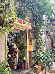 a book store with lots of books and plants on the side of the building next to it