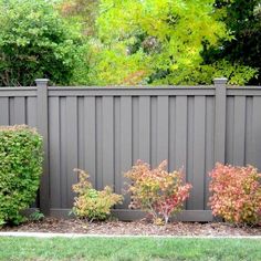 some bushes and trees in front of a gray fence with green grass on the other side