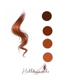 the hair color chart for brown, red and tan tones is shown in three different shades