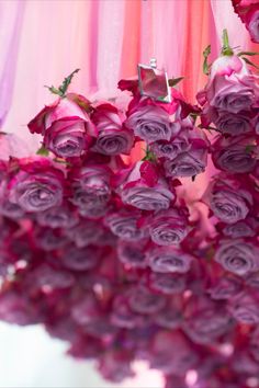 purple flowers are hanging from a pink curtain