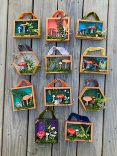 several small wooden frames with plants and mushrooms in them hanging on a wood plank wall