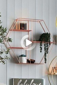 a room with shelves and plants on the wall next to a sign that says, let's love