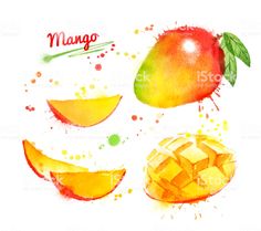 mango fruit with slices and leaves painted in watercolors on white background stock photo