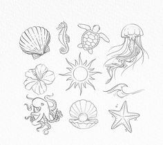 some sea animals and seashells are drawn in pencil on the white sheet paper