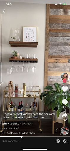 a room filled with lots of bottles and glasses on top of a wooden shelf next to a potted plant