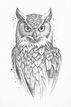 an owl with big eyes is shown in this black and white drawing by artist mark stewart