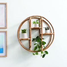 a wall mounted planter on the side of a wall next to two framed pictures