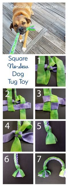 instructions to tie a dog's collar and leash for the halloween costume, including an easy