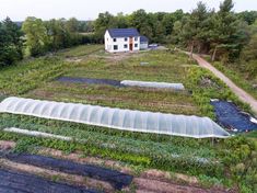 an aerial view of a green roof farm with several rows of plants growing in it