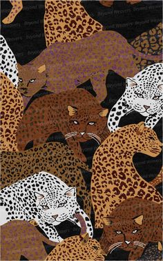 an image of leopards in the wild on black and brown background with white spots