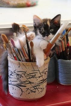 a kitten is sitting in a cup full of paintbrushes and art supplies,