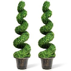 two small potted plants in the shape of spirals on top of each other