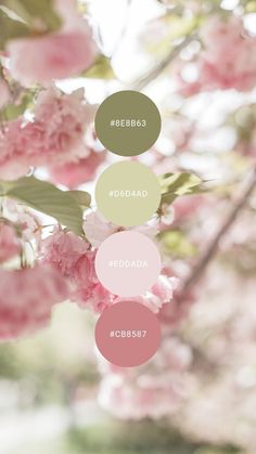 some pink flowers and green leaves on a branch with the words goodbye written in different languages