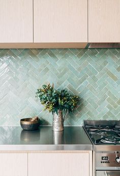 a potted plant sitting on top of a kitchen counter next to a stove and oven