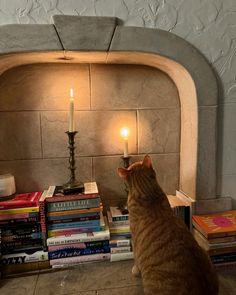 a cat sitting in front of a fire place with books on the floor next to it