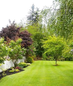 a lush green yard with white fence and trees