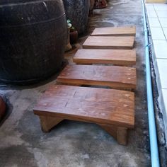 three wooden benches sitting next to each other on the ground near large potted plants