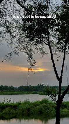 a swing hanging from a tree next to a body of water with the sun setting in the distance