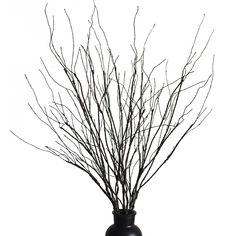 a black vase with some branches in it