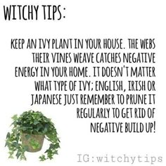 Magickal Plants, Curse Breaking, Divination Board, Witch Things, Witch Tips, Green Witchcraft, Witch Garden, Magic Herbs, Wiccan Witch