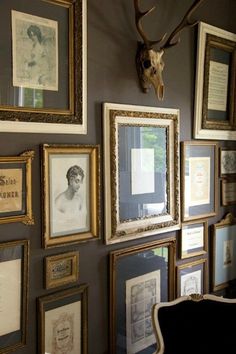 there are many framed pictures on the wall with a deer's head above them