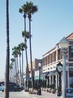 palm trees line the street in front of shops