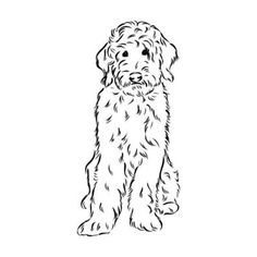 a black and white drawing of a shaggy haired dog sitting on the ground with its front paws