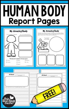 the human body report page for kids