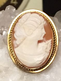 "This vintage cameo possesses a classic beauty that everyone is sure to covet! It is crafted from gold filled metal and features a lovely carved profile of a young woman's visage. This gorgeous piece measures approximately 1.1 inches high and 0.8 inches wide, and can also be worn as a pendant, as it has a folding bale on the reverse side. Approximately 5 grams and in very nice vintage condition. Stamped \"14K GF\" inside rim of cameo setting. Maker's mark is unclear and not easy to photograph." Sloth Jewelry, Brass Jewellery Handmade, Deer Jewelry, Girlfriend Jewelry, Safety Pin Brooch, Pansies Flowers, Rainbow Jewelry, Vintage Cameo, Heart Brooch