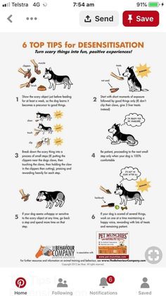 an info sheet with instructions on how to use dogs