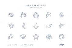 sea creatures line icons on white background