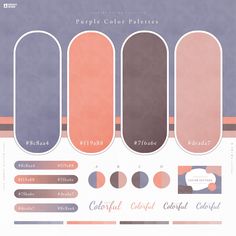 an info sheet with different colors and shapes for the color palettes in each section