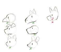 the steps to draw a fox head