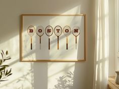 four tennis rackets hanging on the wall in front of a potted plant and window