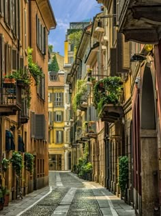 an empty street with lots of windows and plants growing on the buildings along it's sides