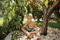 a young boy sitting on the ground in front of an orange tree eating fruit from his hands