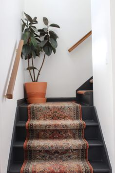 a plant sitting on top of a set of stairs next to a carpeted floor