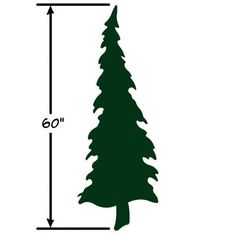 a tall pine tree is shown with the measurements for it's size and height