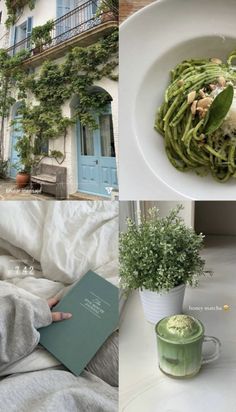 Spring Aesthetic Green, Color Aesthetic, Aesthetic Feed, Aesthetic Green, Healthy Lifestyle Inspiration, Clipuri Video, Spring Aesthetic