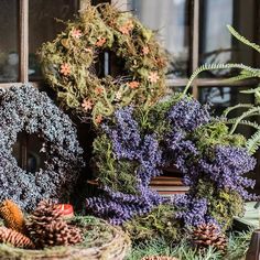 various wreaths and pine cones on display in front of a window